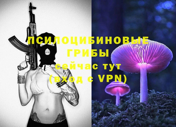 дживик Белокуриха