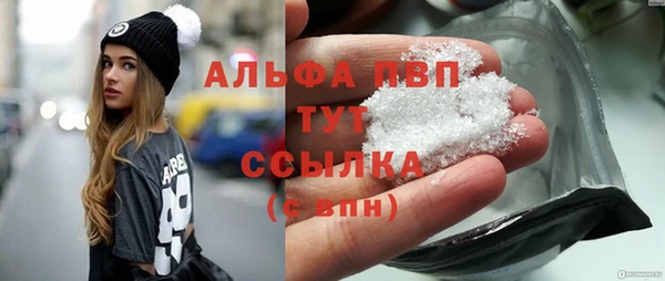 дживик Белокуриха