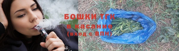 дживик Белокуриха