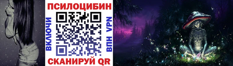 где найти   Богородицк  Псилоцибиновые грибы ЛСД 