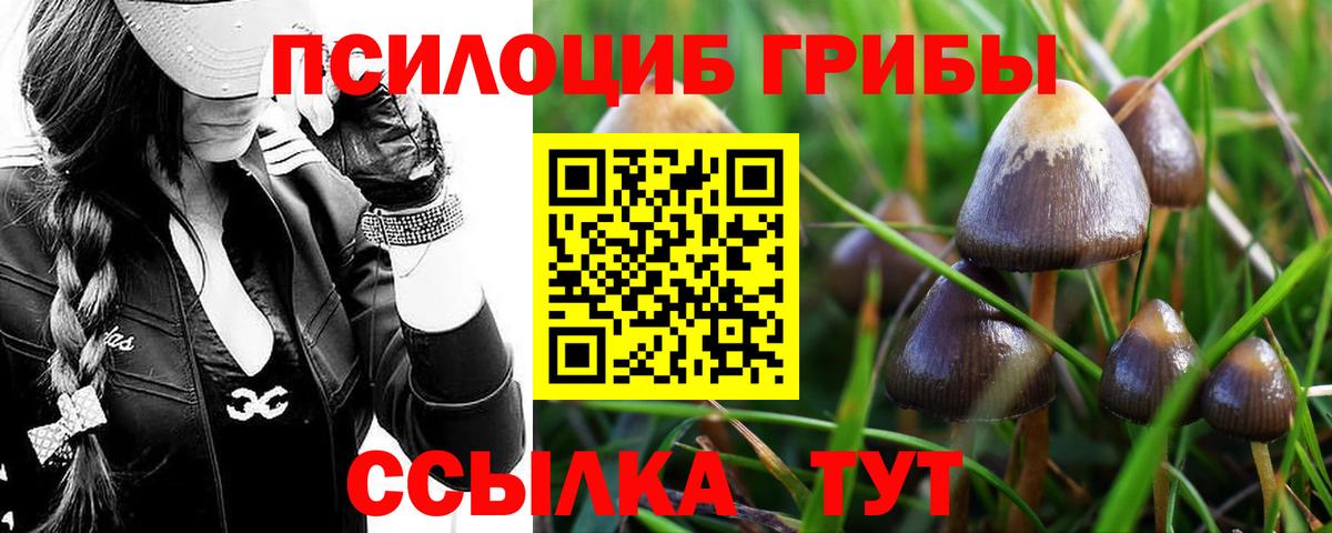 Псилоцибиновые грибы MAGIC MUSHROOMS Богородицк